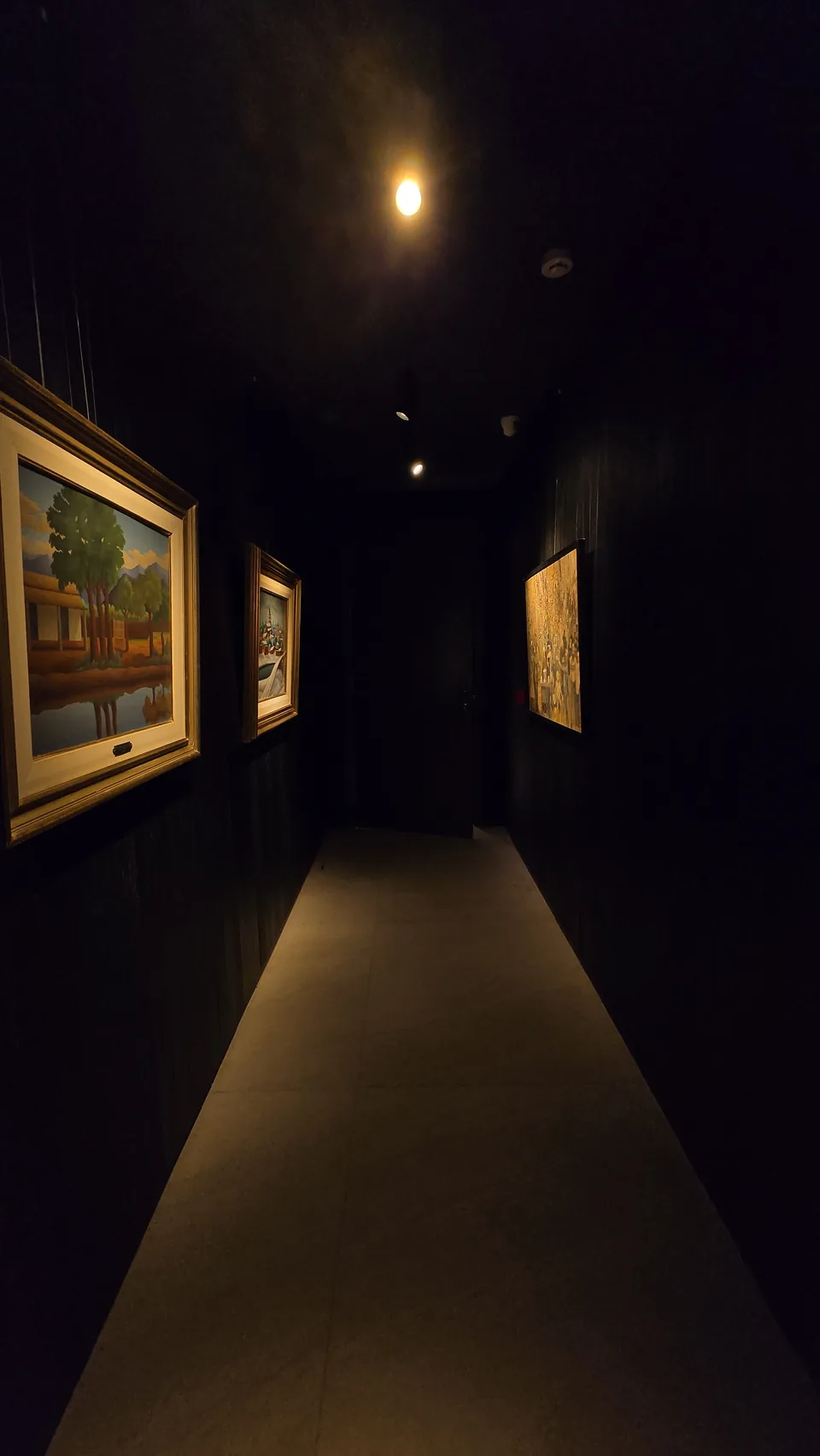 Pasillo de acceso con obras de arte enmarcadas e iluminación puntual LED